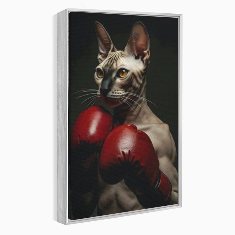 Tablou canvas cu tablou canvas cu motan sphynx boxer, in rama de aluminiu argintiu